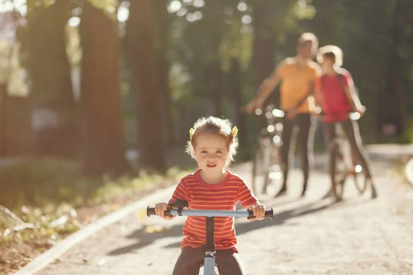 Familia con bicicleta en un parque de verano —  Fotos de Stock