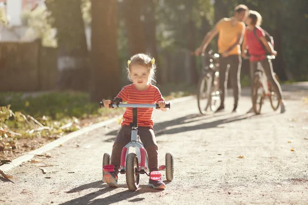 Familia con bicicleta en un parque de verano —  Fotos de Stock