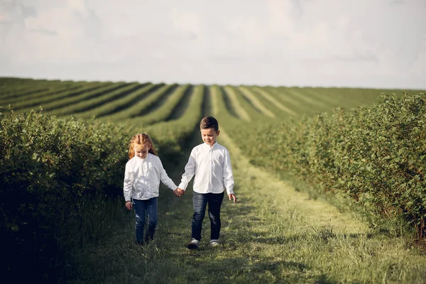 Cute little children in a spring field — Stock Photo, Image