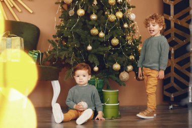 Gri kazaklı küçük çocuklar Noel ağacının yanında