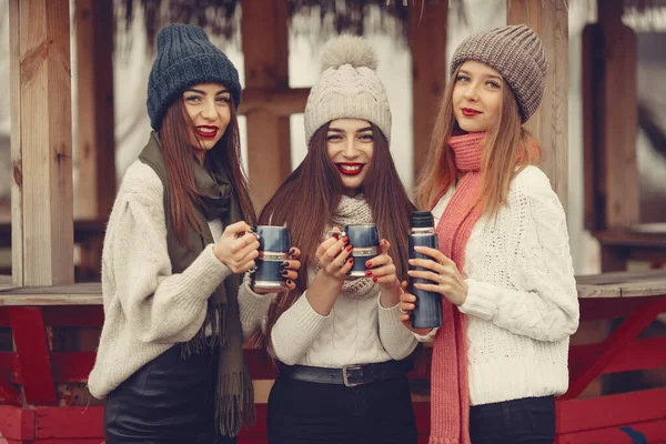 Mujeres en un parque de invierno sin nieve con termos y té —  Fotos de Stock