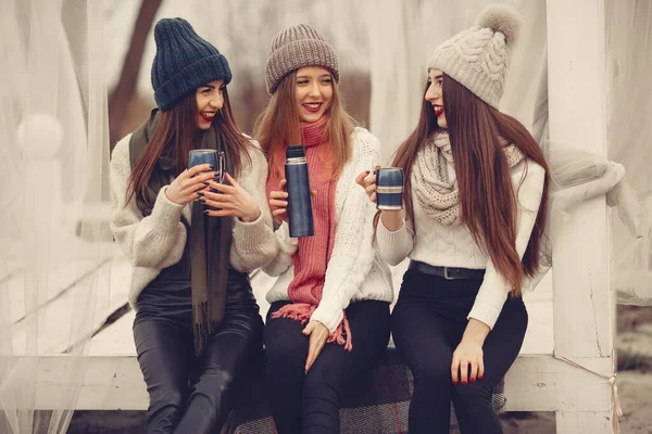 Donne in un parco invernale senza neve con thermos e tè — Foto Stock