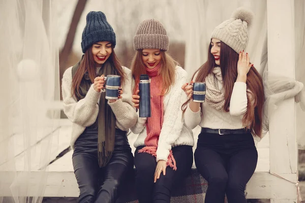 Donne in un parco invernale senza neve con thermos e tè — Foto Stock
