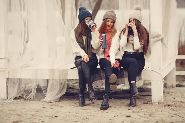 Donne in un parco invernale senza neve con thermos e tè — Foto Stock