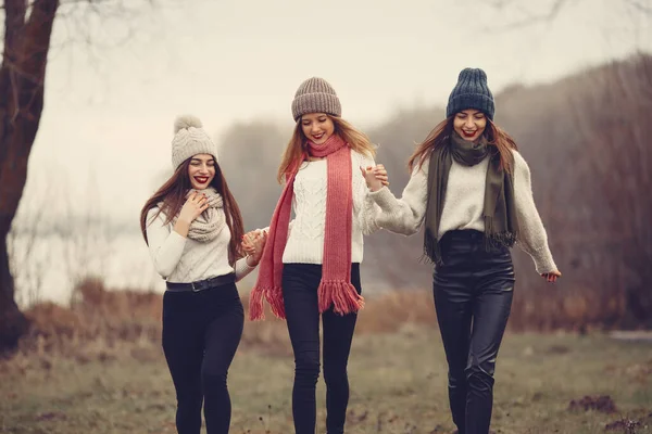 Tre amici camminano in un parco invernale senza neve — Foto Stock