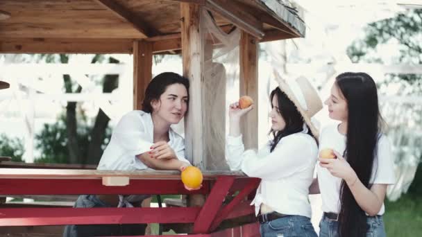 Retrato de três belas mulheres jovens perto de um mandril de verão — Vídeo de Stock