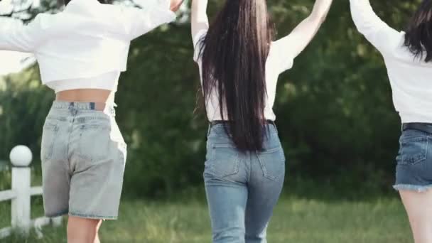 三个漂亮的黑发姑娘牵着手在草地上走着 — 图库视频影像