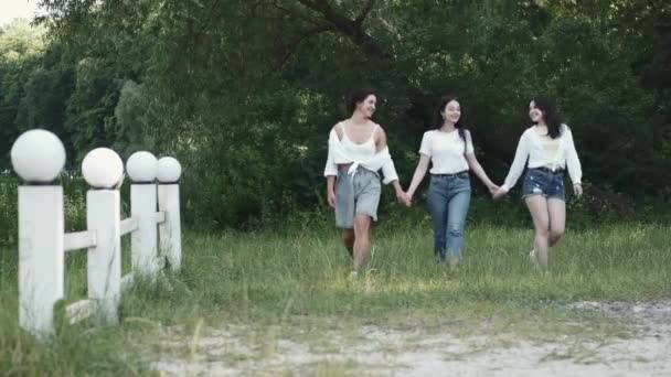 Three pretty brunette girlfriends going on the grass holding hands — Stock Video