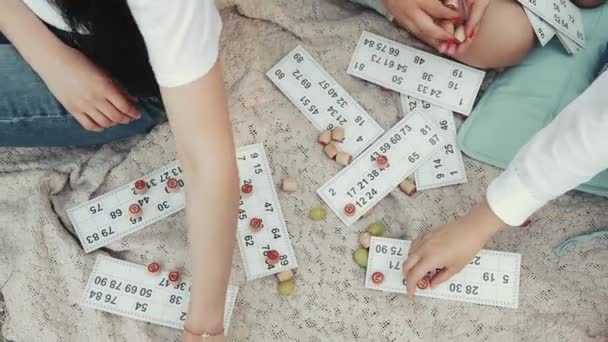 Primo piano del gioco del lotto su un picnic in un parco — Video Stock