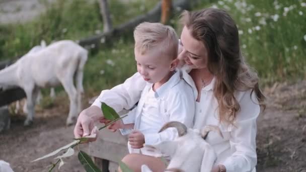 Mther e filho passar o tempo juntos fora na natureza verde com cabras — Vídeo de Stock