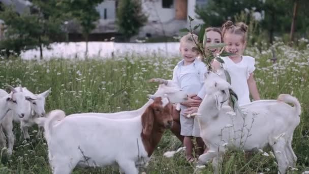 Boldog fiatal család töltenek időt együtt kívül zöld természet kecskékkel — Stock videók