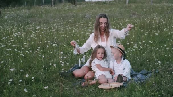 Мать проводит время с детьми в поле — стоковое видео