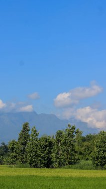 Güzel kırsal manzara. Güneşli bir sabah. Dağlardaki güzel bahar manzarası. Tarlalar ve ağaçlarla kaplı tepeler. kırsal manzara