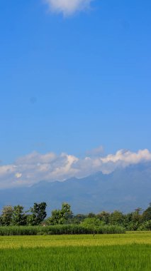 Güzel kırsal manzara. Güneşli bir sabah. Dağlardaki güzel bahar manzarası. Tarlalar ve ağaçlarla kaplı tepeler. kırsal manzara