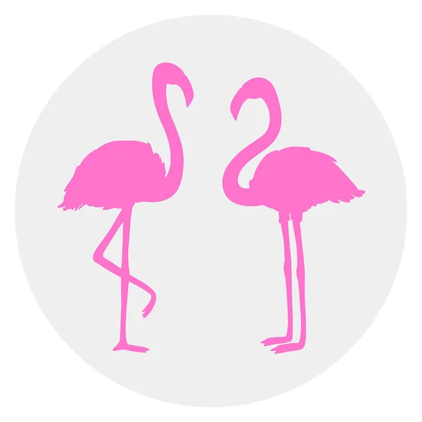 Círculo Icono Web Fondo Aislamiento Flamencos Aves Dibujos Animados — Vector de stock