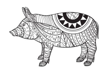 Beyaz domuz. Zen sanat. Zentangle. El karmaşık desenleri ile hayvan izole arka plan üzerinde çekilmiş. Yetişkinler için manevi rahatlama için tasarım. Siyah beyaz resim boyama. Yazdır