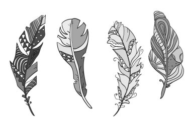 İzole beyaz tüyler. Zentangle tasarım. El soyut desenler tüyleriyle yalıtım zemin üzerine çekilmiş. Yetişkinler için manevi rahatlama için tasarım. Hat sanatı. Siyah beyaz resim