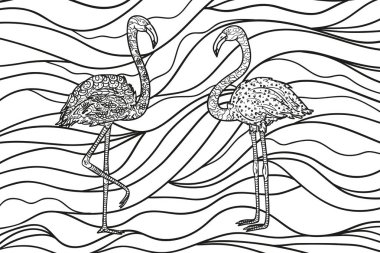 Flamingolar dalgalı duvar kağıdı. Zentangle. Kuşlar ile zemin. El yeşillik mandala izole arka plan üzerinde çekilmiş. Yetişkinler için manevi rahatlama için tasarım. Siyah beyaz resim