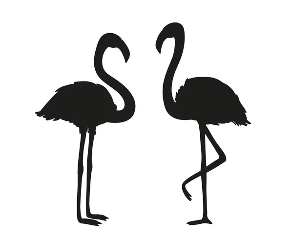 Flamingos Tecknade Fåglar Bild För Typografi Shirts Och Textilier Svartvit — Stock vektor