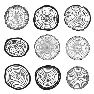 Resimde. Yaratıcı sanat