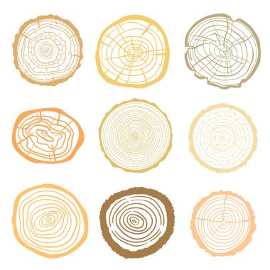 Beyaz üzerinde ağaç halkaları. Yalıtım arka planda nesne kümesi. Çizgi sanatı. Matbaacılık, poster, t-shirt ve Tekstil için baskı