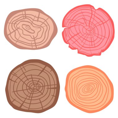 Sanat yaratıcı. İllüstrasyon