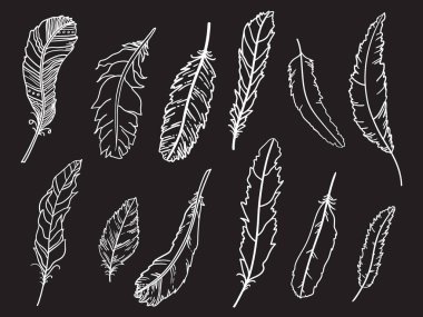 Tüy. İzole edilmiş siyah arka planda el çizimi beyaz tüyler. Siyah beyaz illüstrasyon