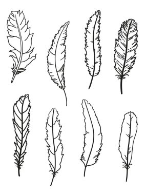 Tüy. İzole edilmiş beyaz arkaplanda el çizimi tüyler