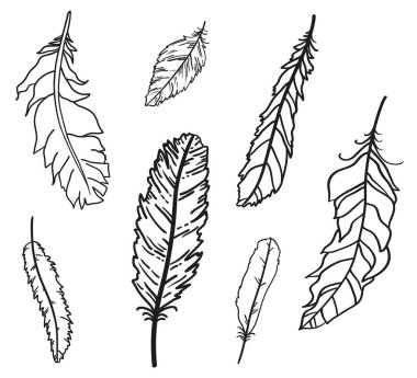 Tüy. İzole edilmiş beyaz arkaplanda el çizimi tüyler