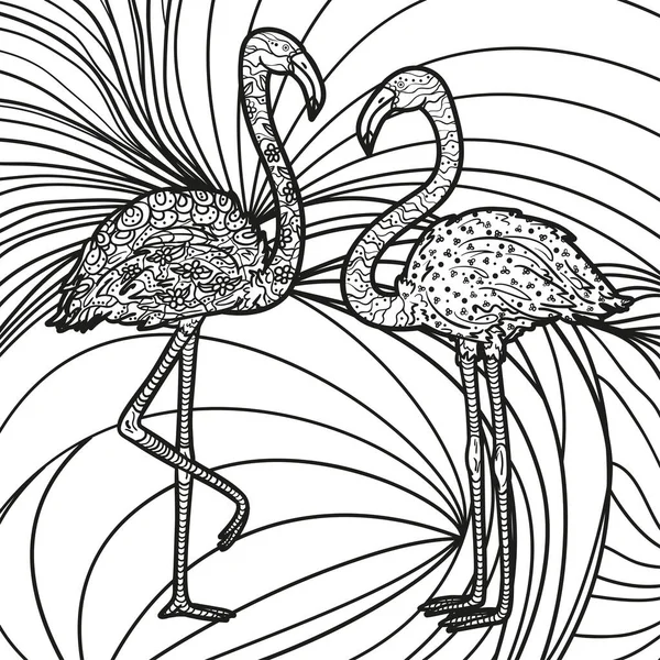 Padrão Intrincado Quadrado Com Flamingos Zentangle Fundo Desenhado Mão Design — Vetor de Stock