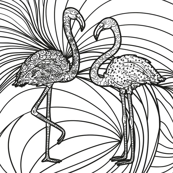 Patrón Complejo Cuadrado Con Flamencos Zentangle Fondo Dibujado Mano Diseño — Vector de stock