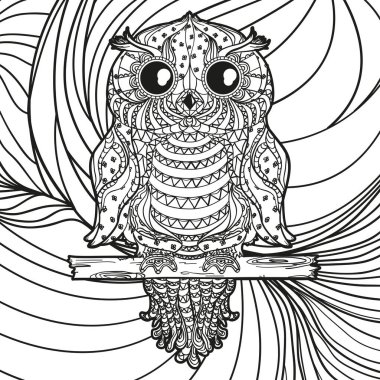 Beyazın kare çizgi deseni. El çizimi soyut baykuş. El ilanları ve afişler için baskı. Siyah beyaz illüstrasyon