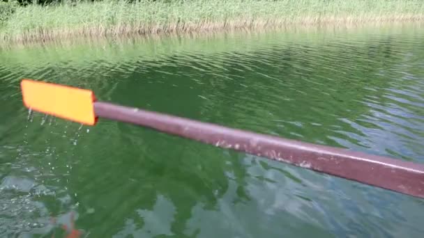 L'aviron immergé dans l'eau . — Video