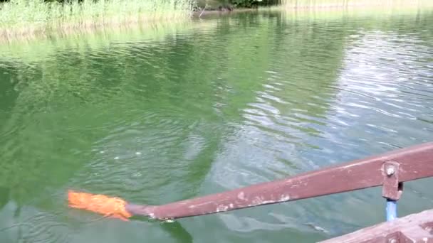 Eine junge schöne Frau segelt auf einem Boot auf dem See. — Stockvideo