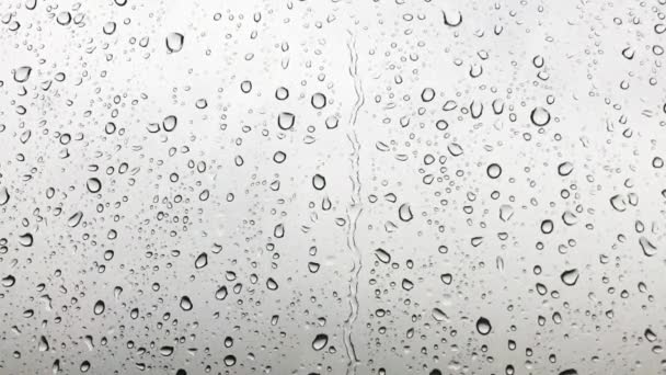 Gotas de chuva caindo em uma janela . — Vídeo de Stock