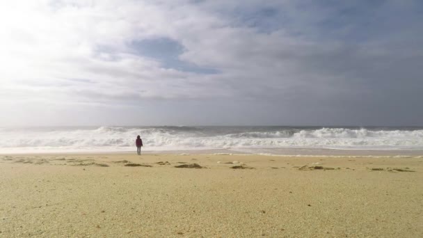 Cinemagraph 无尽的画面 一个年轻女子站在海边看海浪 — 图库视频影像