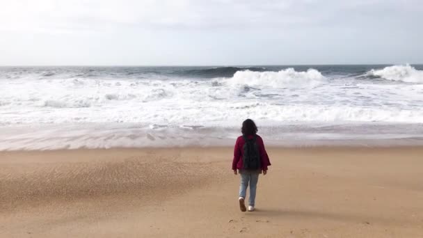 Uma Jovem Mulher Com Uma Mochila Caminha Pela Costa Oceano — Vídeo de Stock