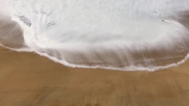 Des images haute résolution. Mousse de mer sur la plage .