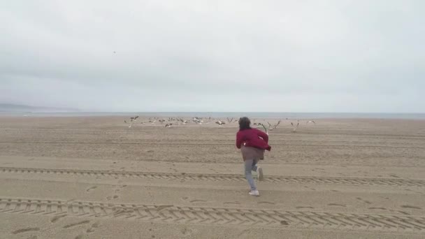 Uma jovem corre para o rebanho de gaivotas . — Vídeo de Stock