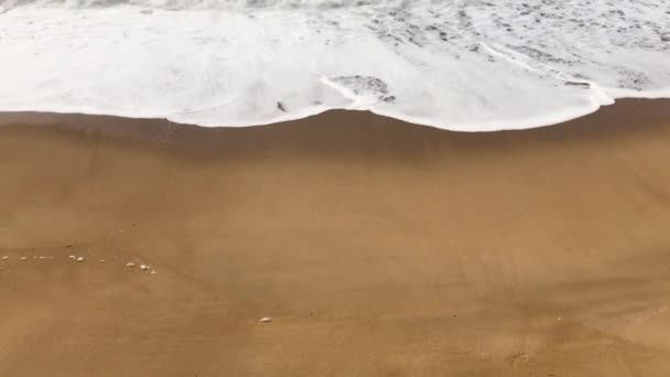 Imágenes de alta resolución. Espuma marina en la playa . — Vídeo de stock