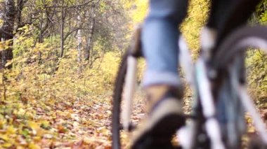 İki genç kadın sonbahar ormandaki bisiklet sürme.