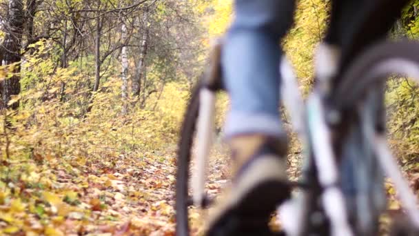 Two young women are riding bicycles in the autumn forest. — Stock Video