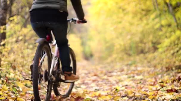 Uma jovem está andando de bicicleta na floresta de outono . — Vídeo de Stock