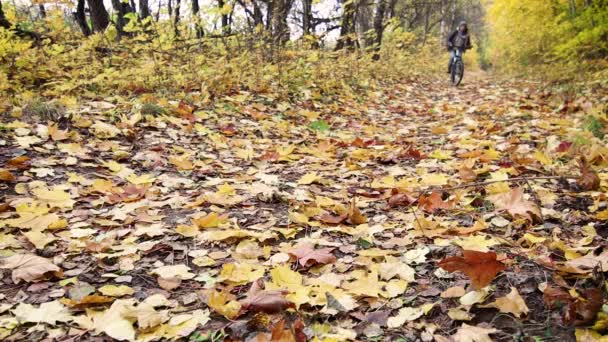 Genç Bir Kadın Sonbahar Ormandaki Bir Bisiklete Biniyor Ekim Ruh — Stok video