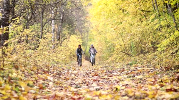 两个年轻女子在秋天的森林里骑自行车. — 图库视频影像