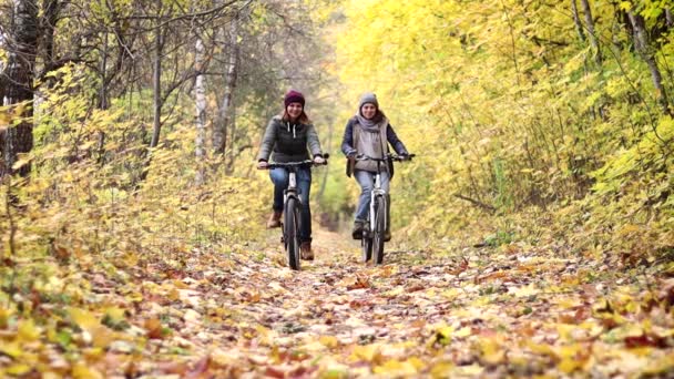 두 젊은 여자가을 숲에서 자전거를 타고 있다. — 비디오