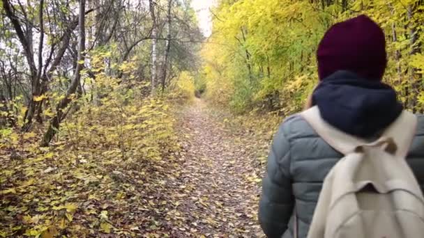 Une jeune femme marche à vélo dans la forêt d'automne . — Video