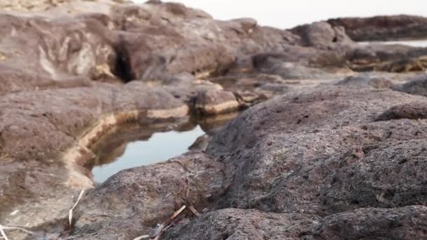 Utsikt över stora platta klipporna vid havet, kameran går upp. — Stockvideo