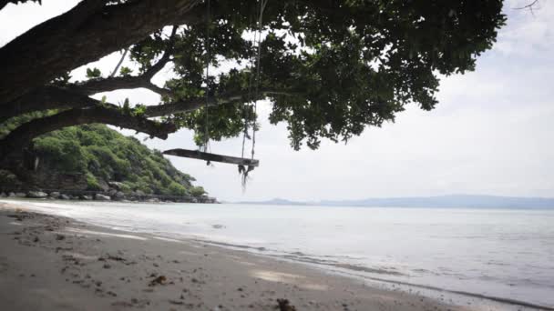 Altalene legate ad un albero sulla spiaggia sullo sfondo di onde calme . — Video Stock