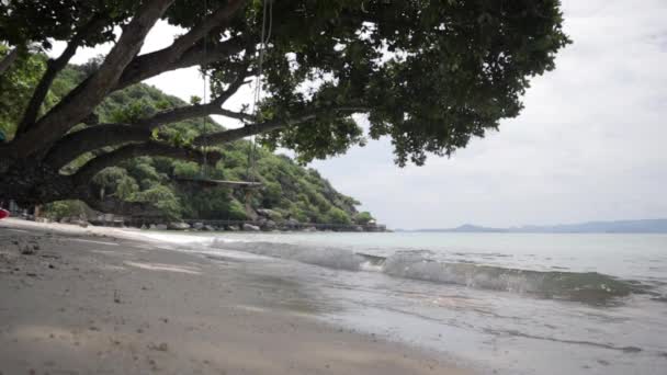Гойдалки прив'язані до дерева на пляжі на тлі спокійних хвиль . — стокове відео